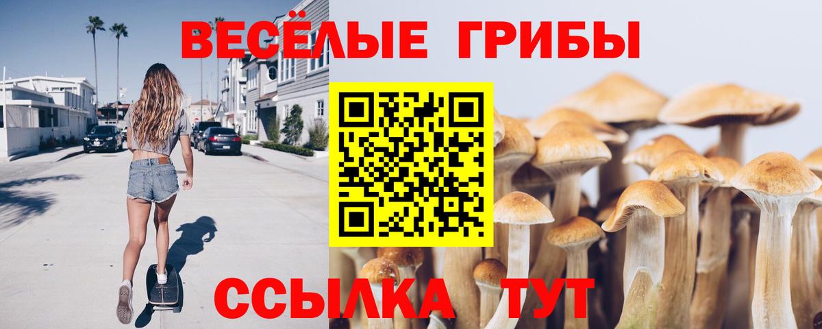 магазин продажи   Галлюциногенные грибы прущие грибы  Тольятти  Вход с VPN  Псилоцибиновые грибы Magic Shrooms 